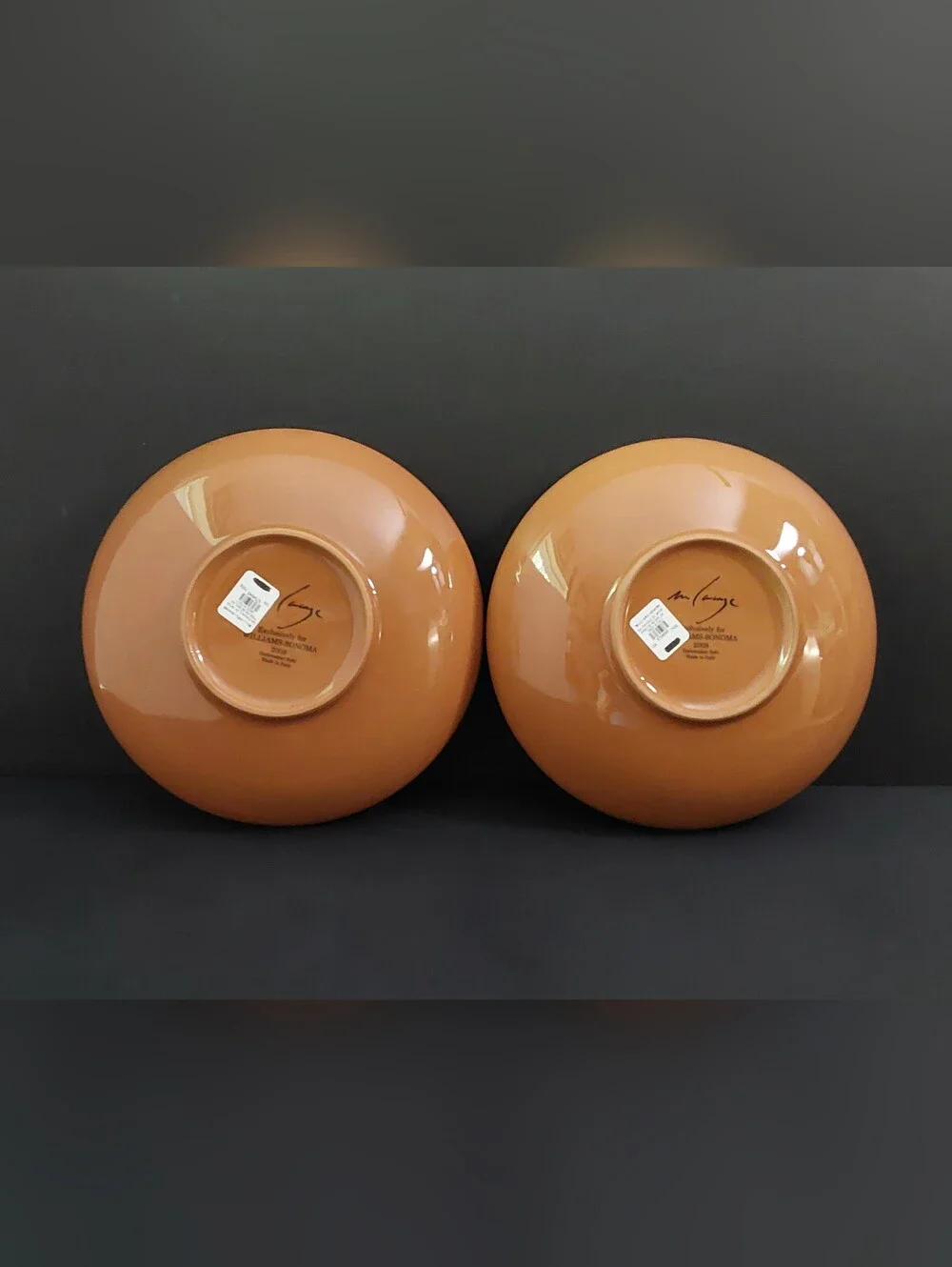 NEW Williams-Sonoma PAYSAGE SOUP/PASTA Bowls (2) 10